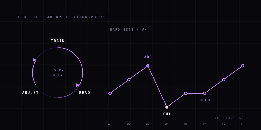 Diagram: a weekly train, read, adjust feedback loop next to a set-count sparkline whose points are marked add, cut, and hold.