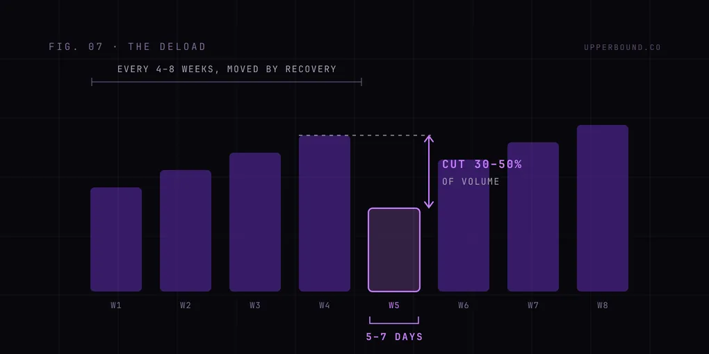 Diagram: eight weeks of rising volume bars with week five cut by 30 to 50 percent and held for 5 to 7 days, under a note that the deload lands every 4 to 8 weeks, moved by recovery.