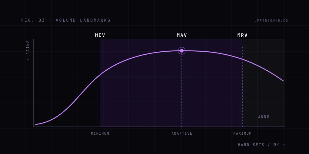 Diagram: a dose-response curve of gains against weekly hard sets, rising through MEV, peaking near MAV, and declining past MRV into junk volume.